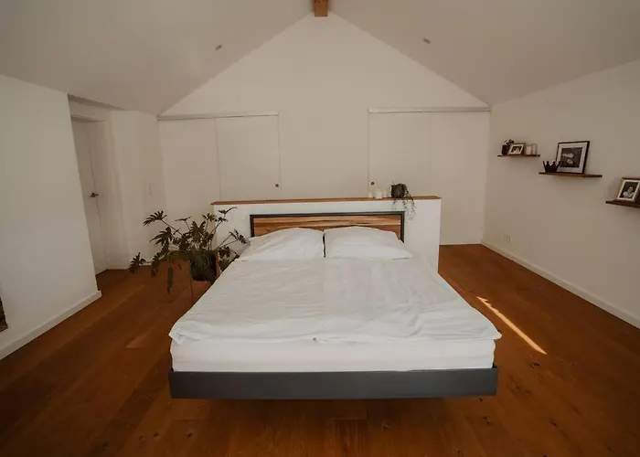 Modernes Offenes Haus 斯维斯塔尔